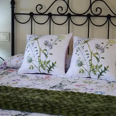 Riveros De Jeromo * Selaya