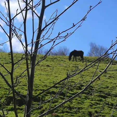 Riveros De Jeromo Alpesi faház