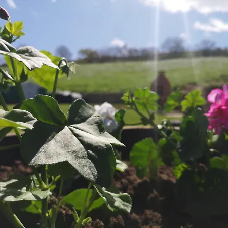 Riveros De Jeromo * Selaya