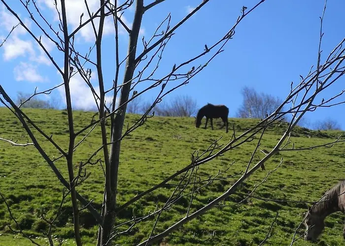 Riveros De Jeromo Chalet