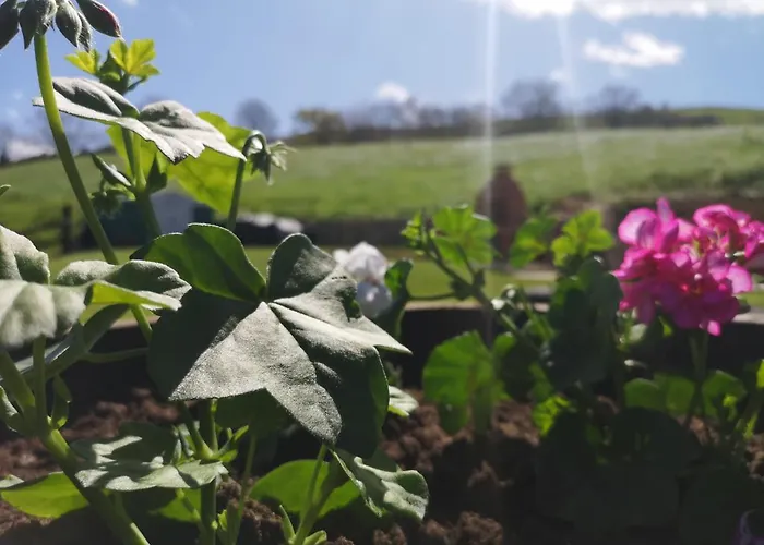 Riveros De Jeromo * Selaya